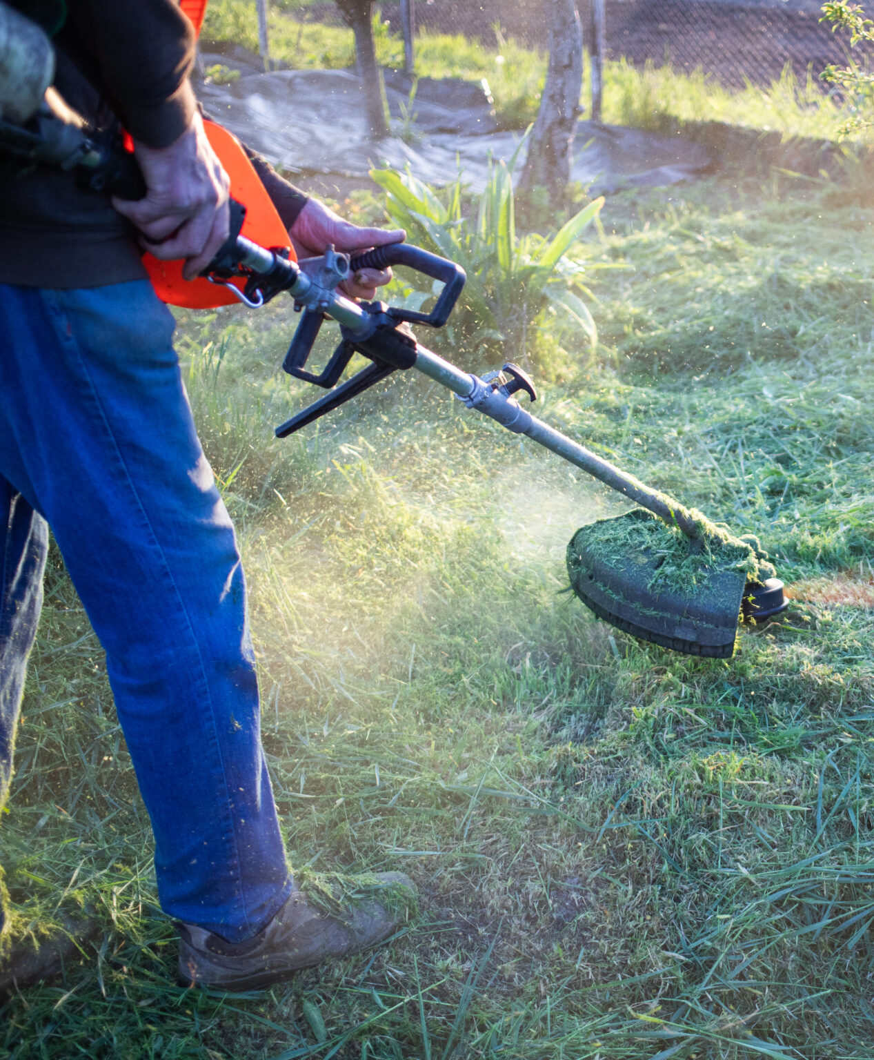 Leaf Removal Service