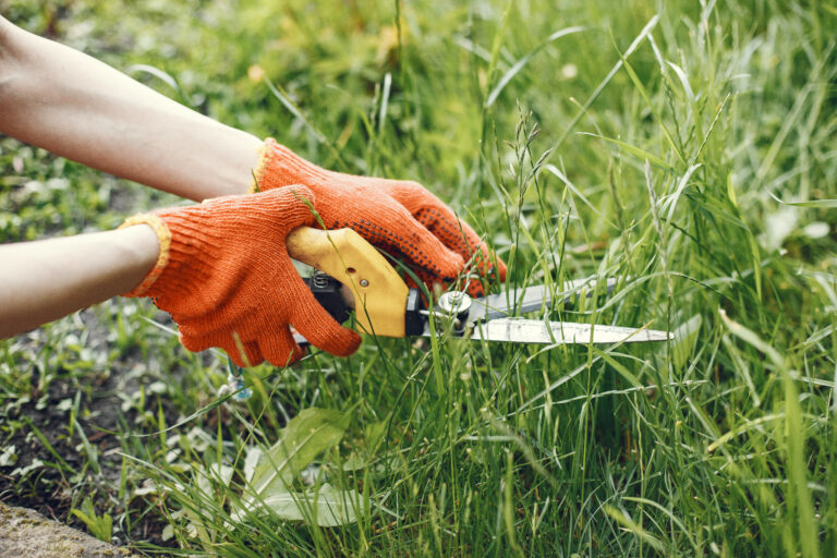 Bed Weeding