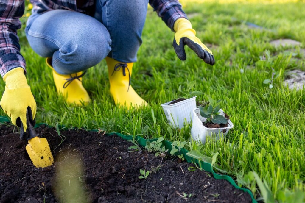 Edging & Mulching Services