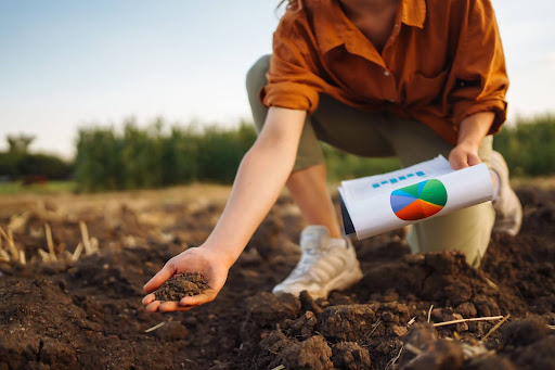 Organic Fertilizer For Lawn