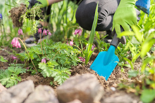 Weeding Flower Beds