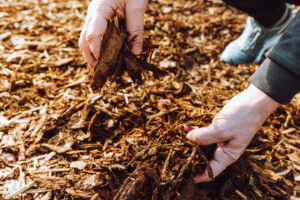 mulching