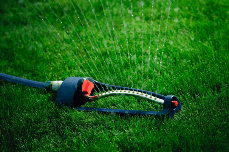 Tick and Flea Control