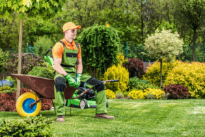 Lawn care