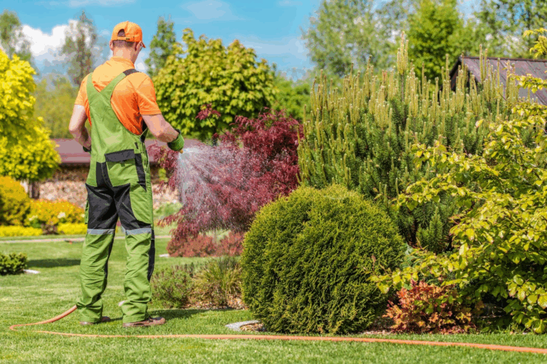 Lawn care services