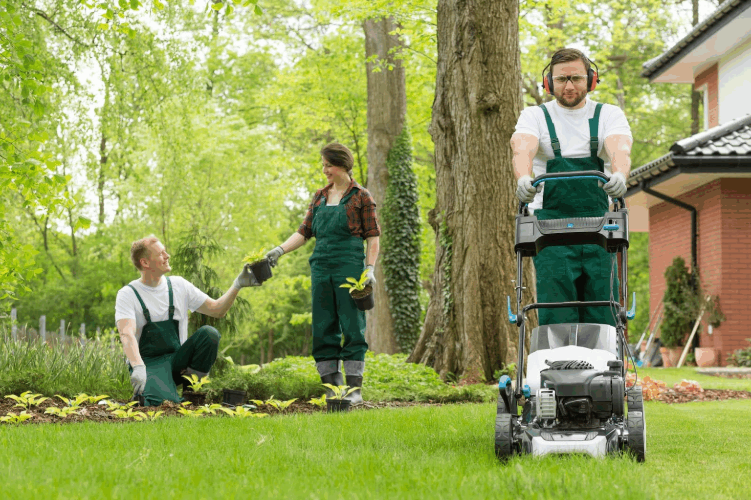 Lawn care services