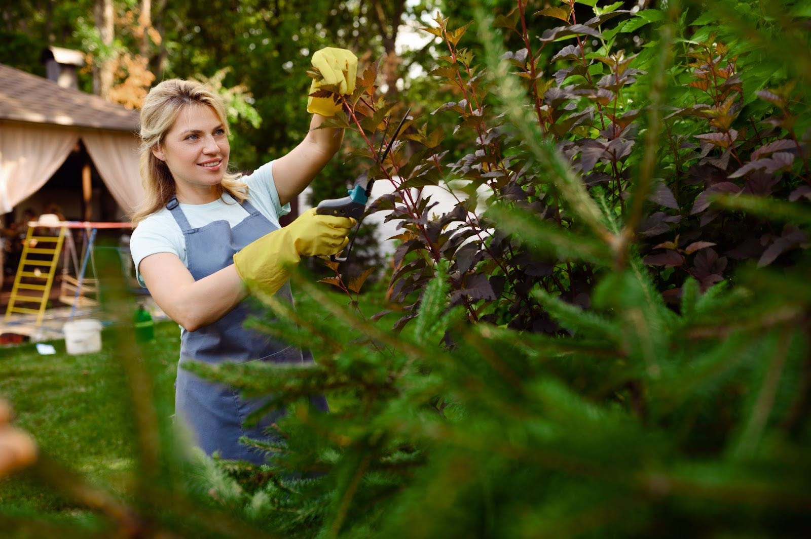 Bush and Shrub Trimming