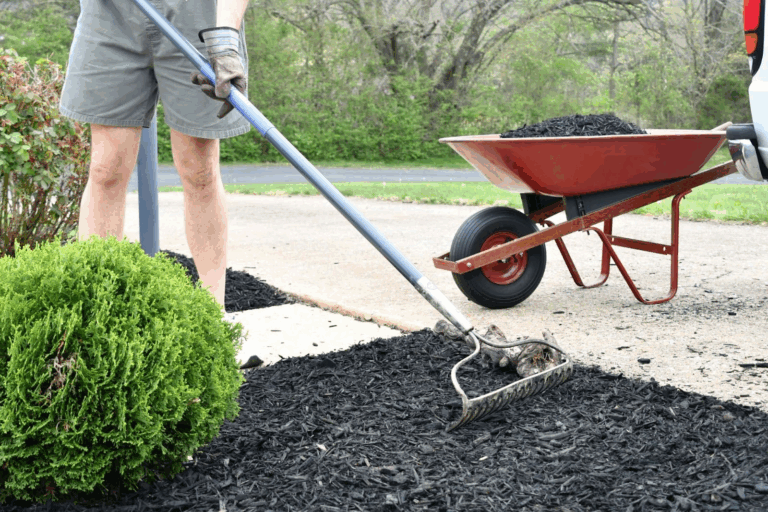 Edging & Mulching Services