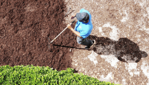 Mulch Installation