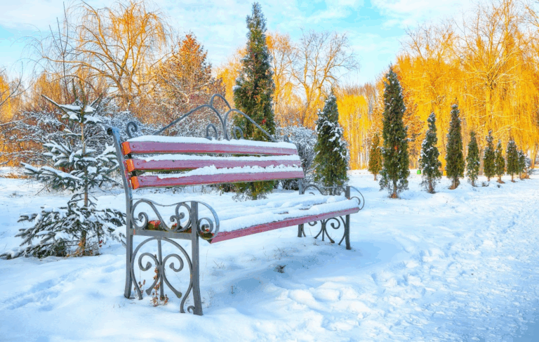 Snow Removal Solutions