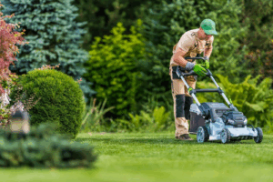 Lawn Service Price Comparison