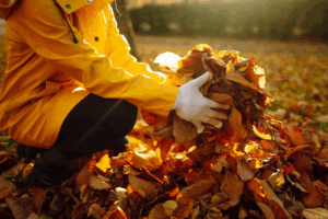 Fall Leaf Removal Service