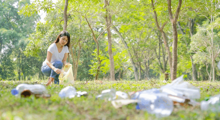 Leaf Cleaning Service