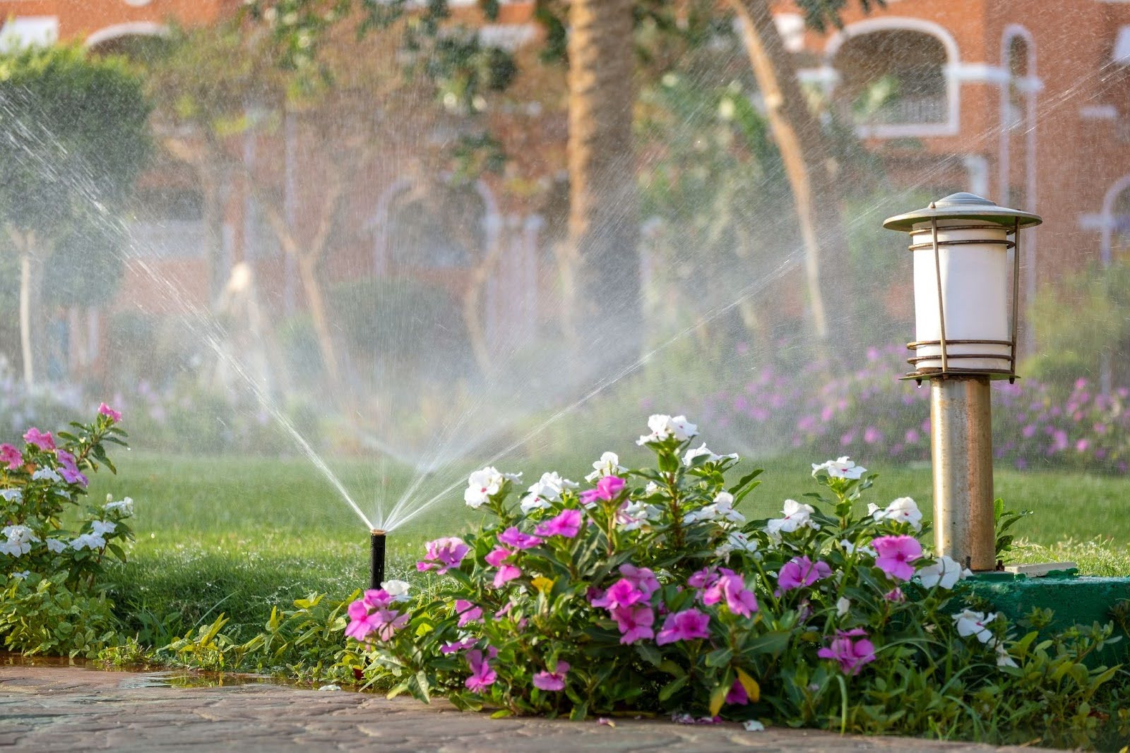 Irrigation Start-Up And Blowout