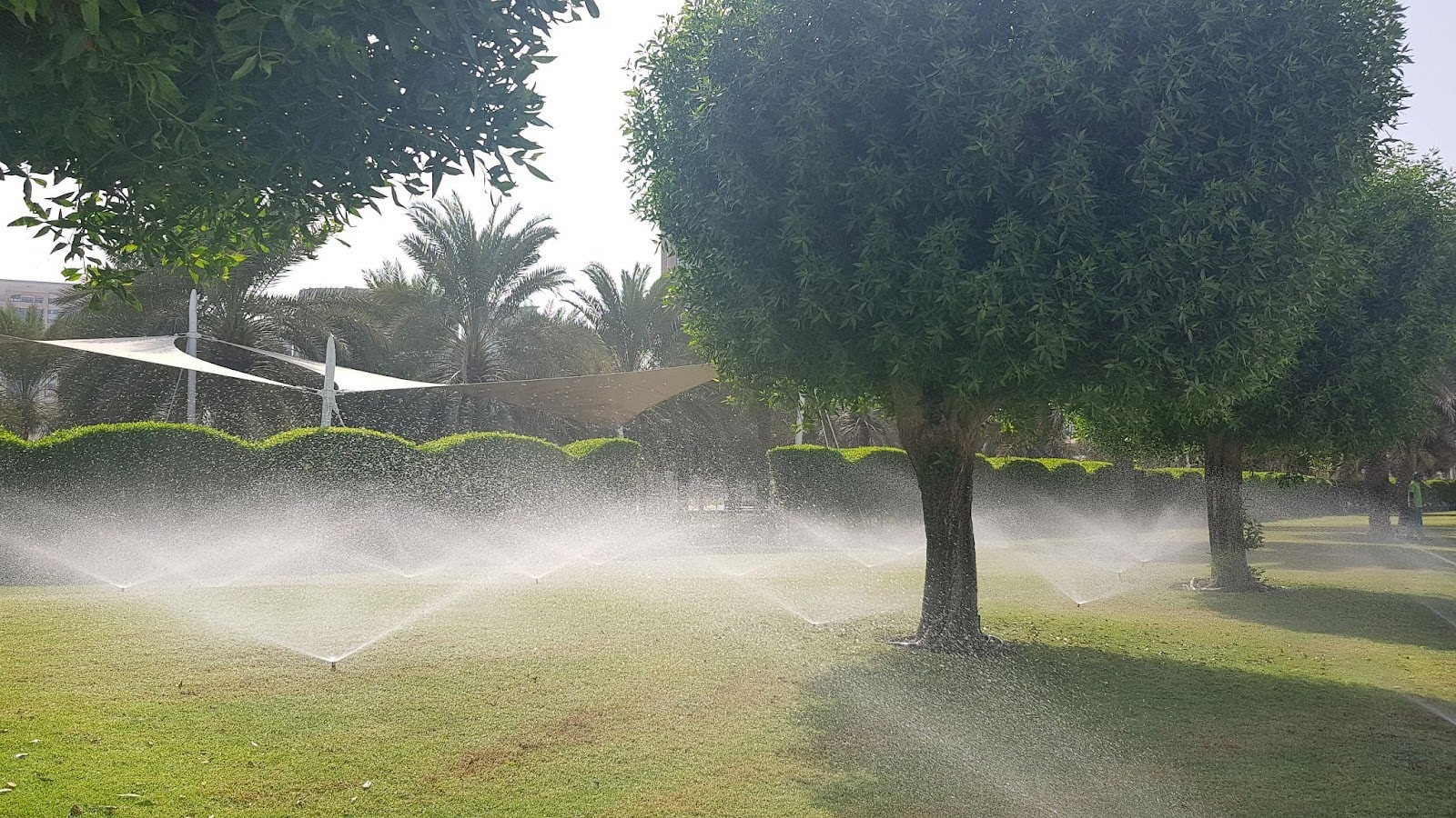 Irrigation Start-Up