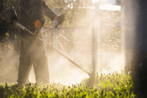 Lawn Fungicide Treatment