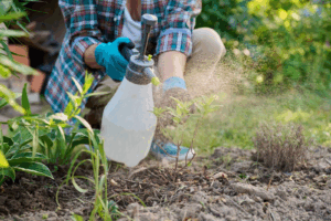 Weed And Pest Prevention