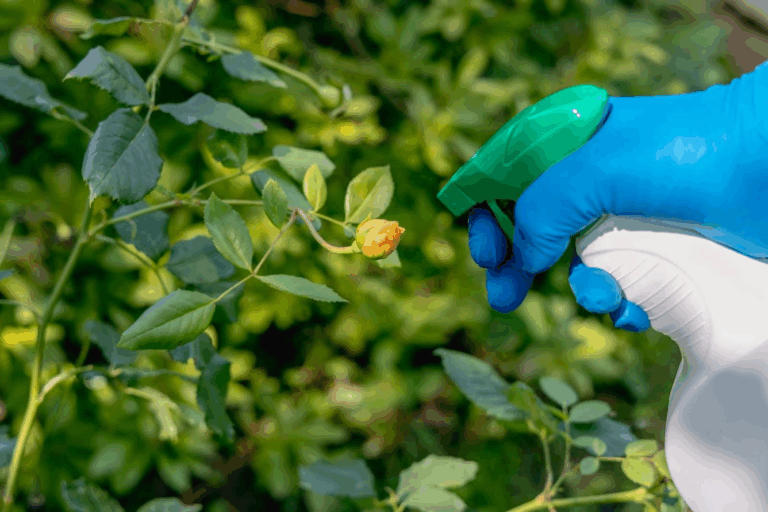 Weed And Pest Prevention