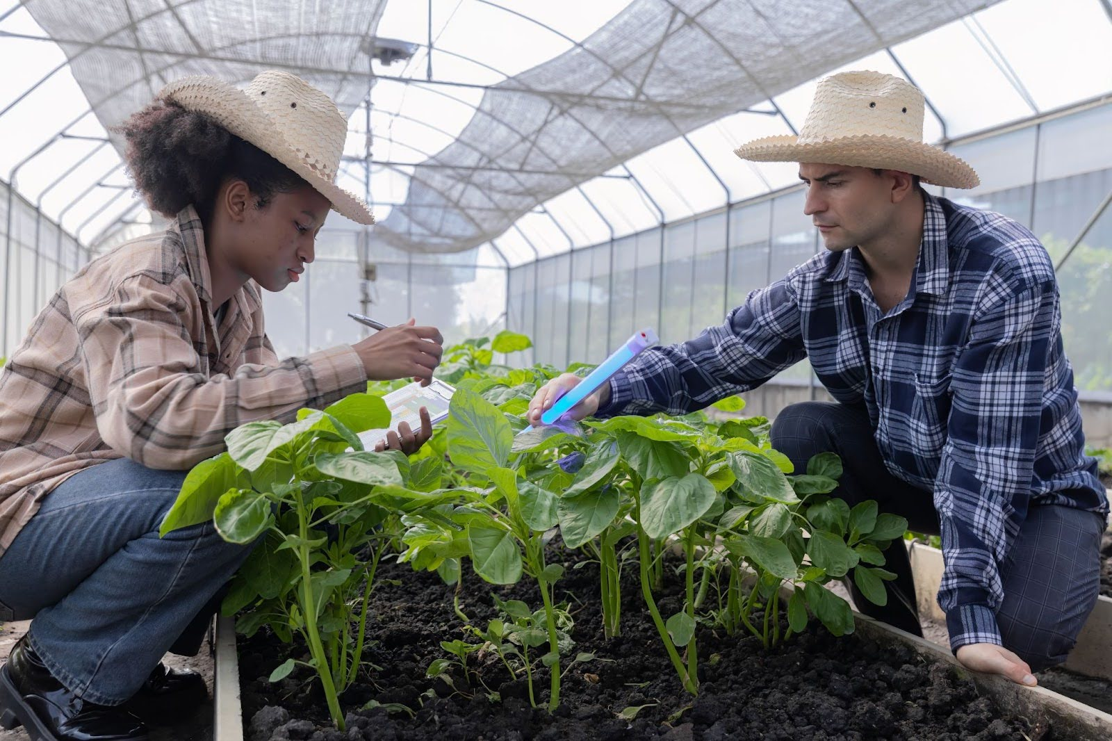 Fertilizer Program