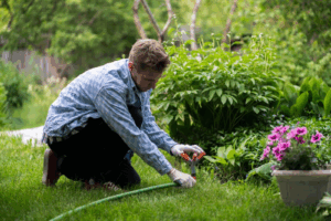 Professional Bed Weeding