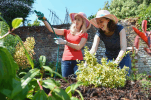 Lawn Maintenance Program