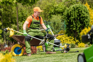 Lawn Mowing Services