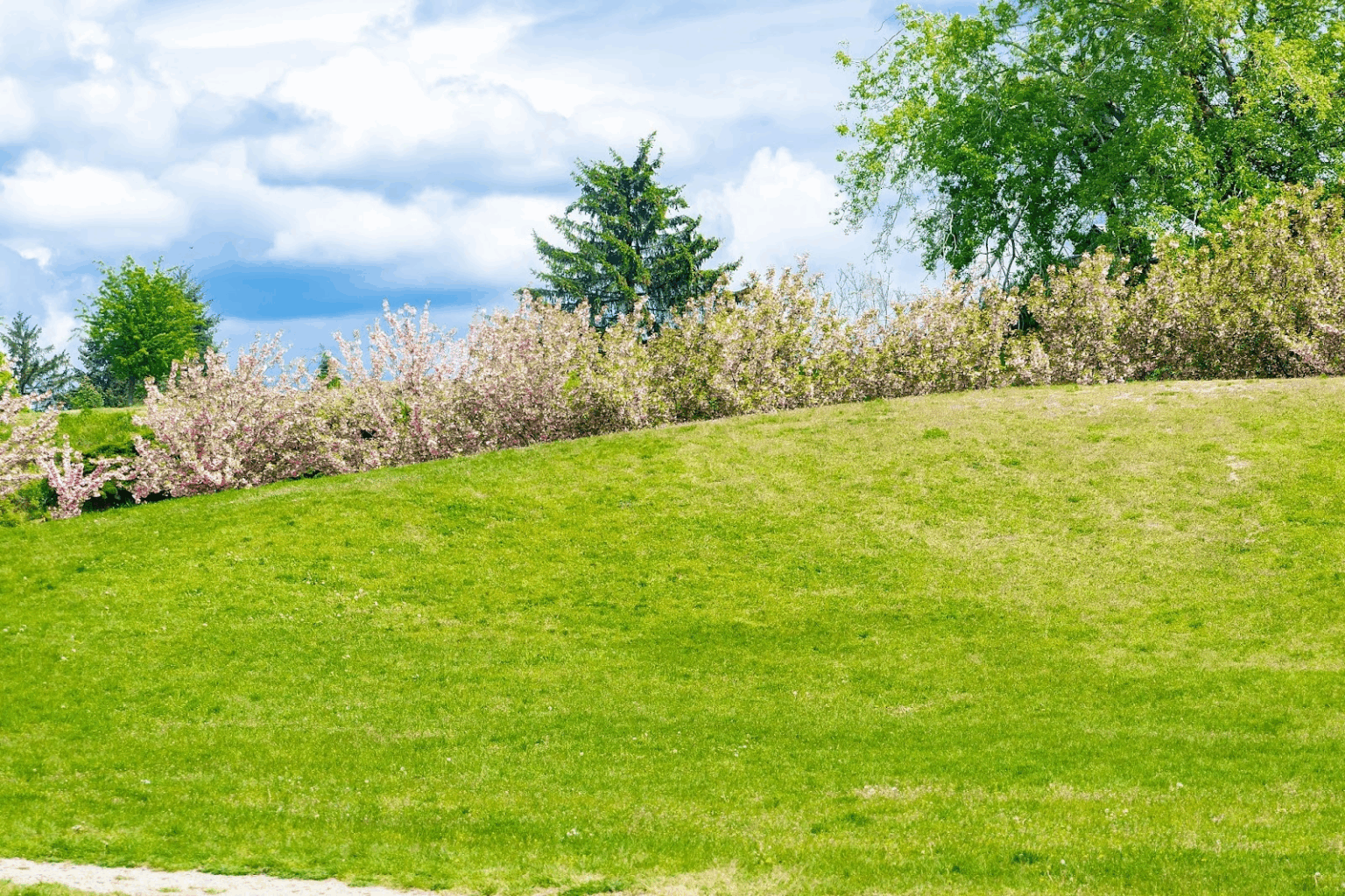 Lawn Mowing Services