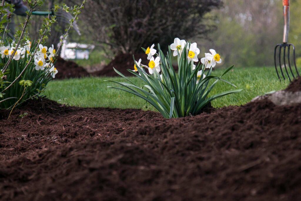 Mulch-Installation-Service-othale-ks