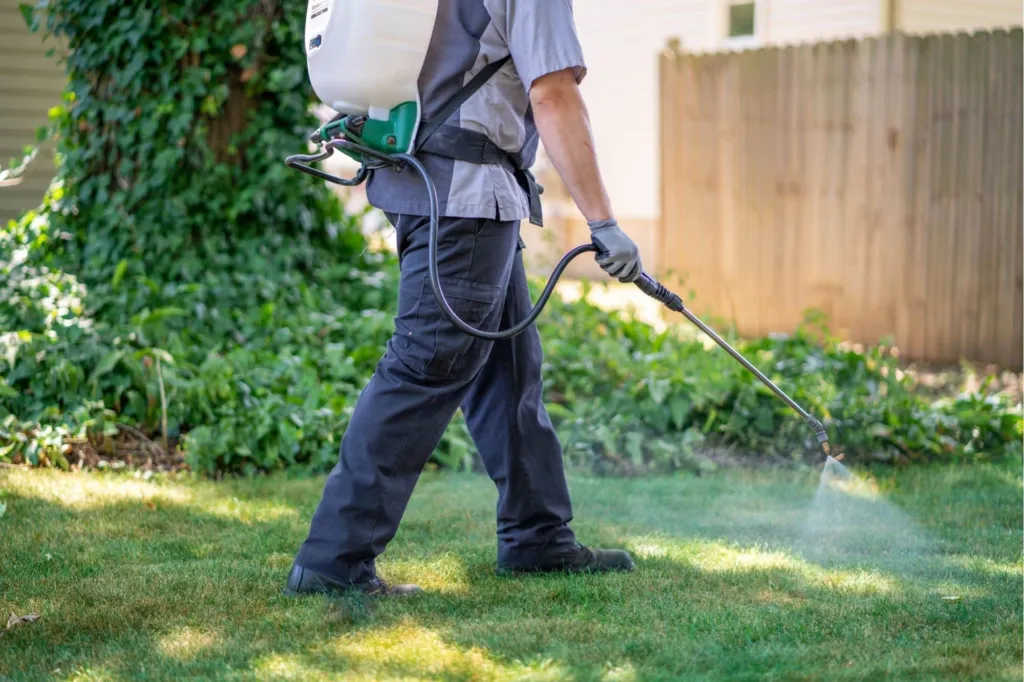 Perimeter Pest Control