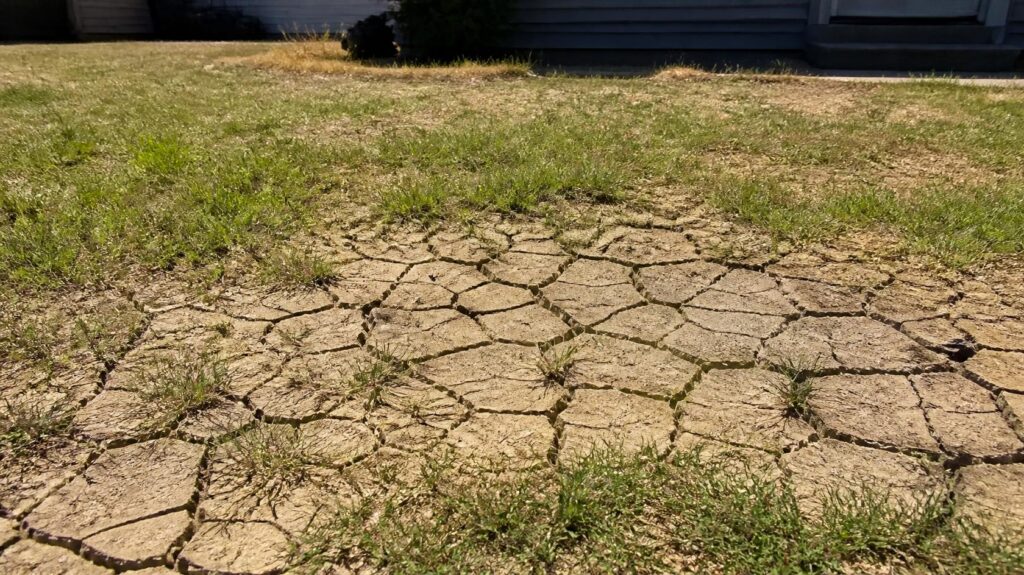 Cracked clay soil causing drainage problems in Johnson County, KS