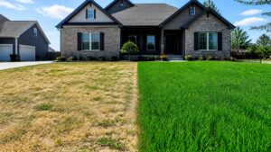 fall-lawn-renovation-olathe-ks