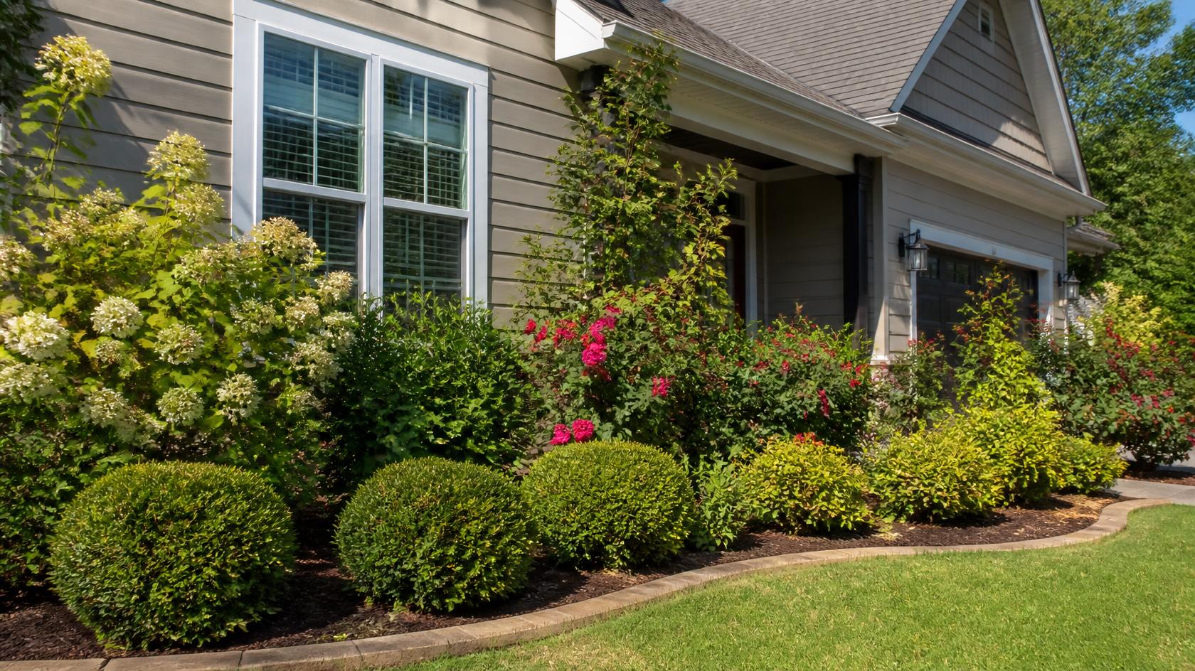 Naturally hand-pruned shrubs with healthy full form in Olathe, KS