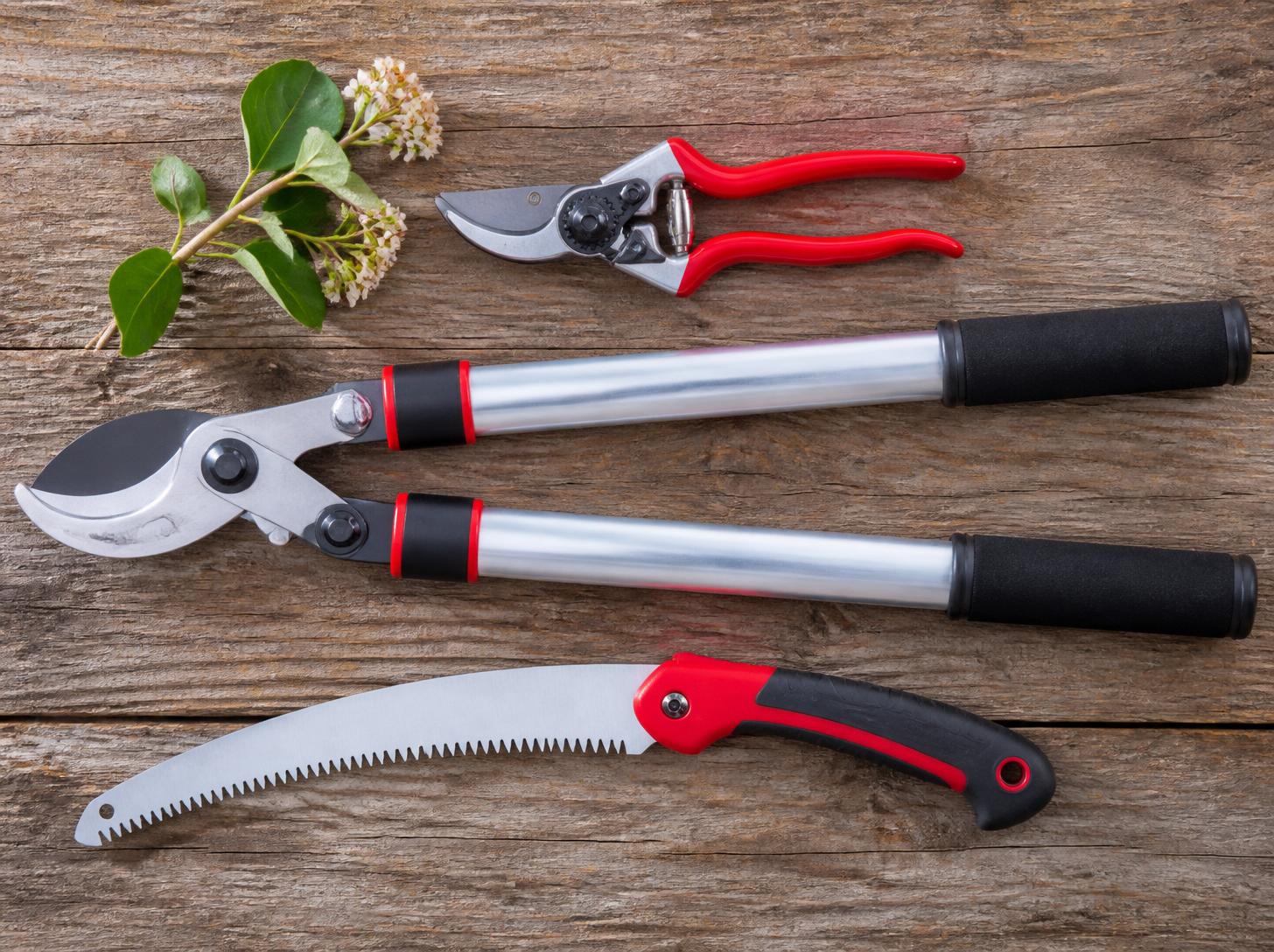 The right tools for trimming shrubs: bypass pruners, loppers, pruning saw