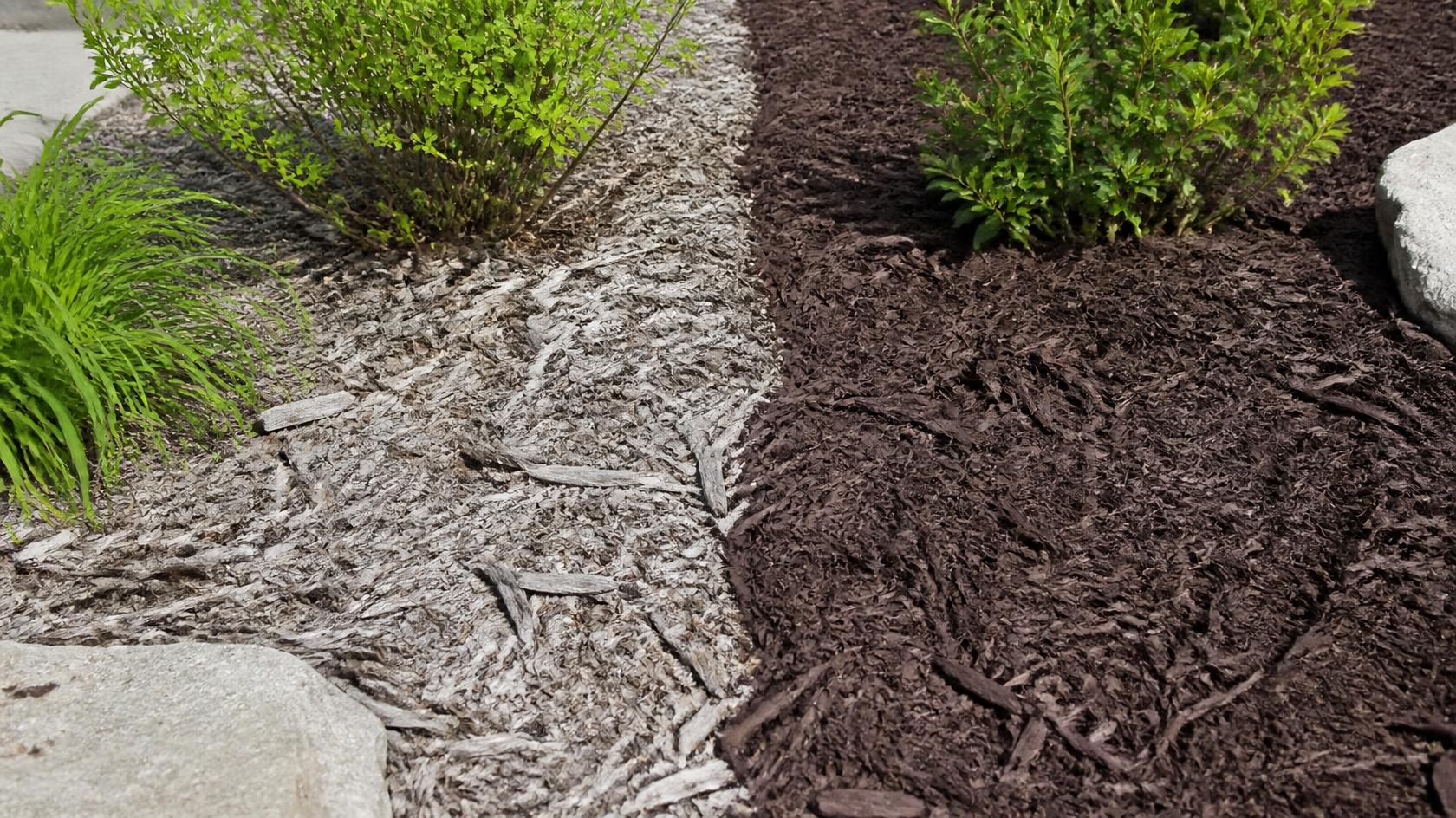 faded-vs-fresh-mulch-when-to-refresh