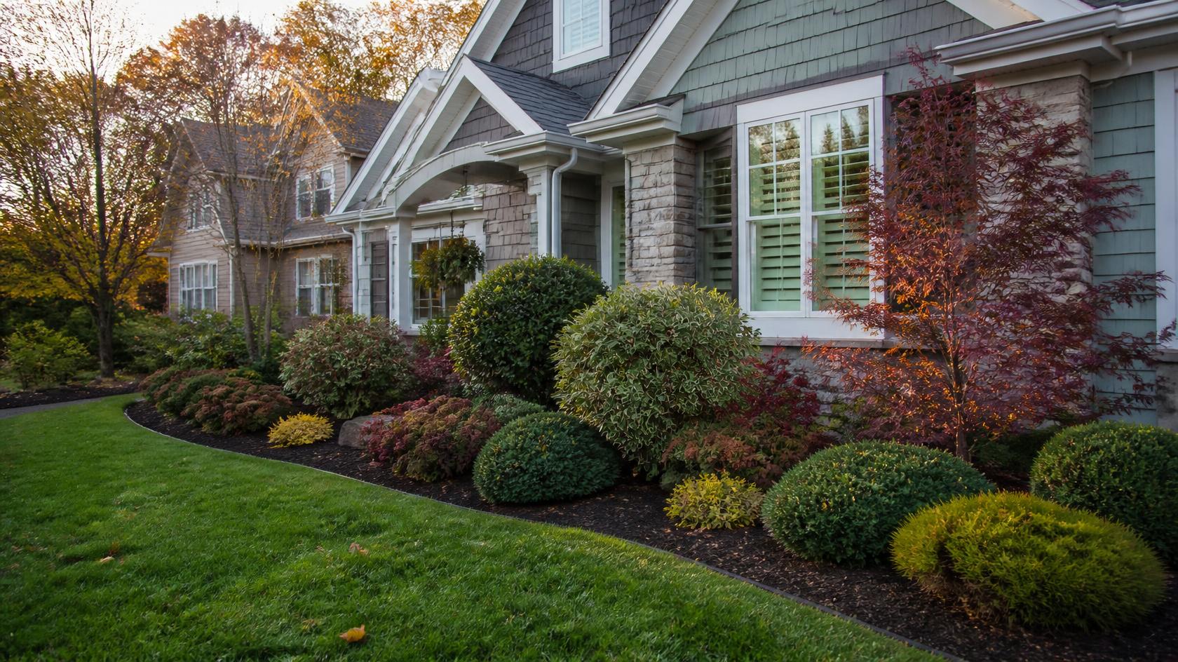 fall-planted-foundation-shrubs-result.