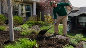 when-how-often-to-mulch-kansas-city