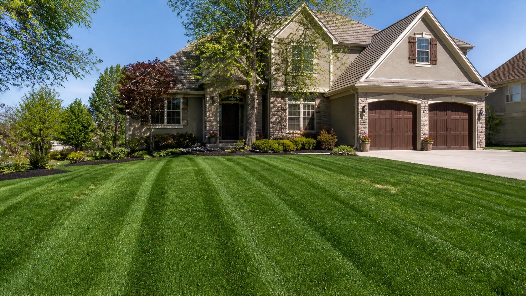 dense-turf-shading-soil-weed-prevention