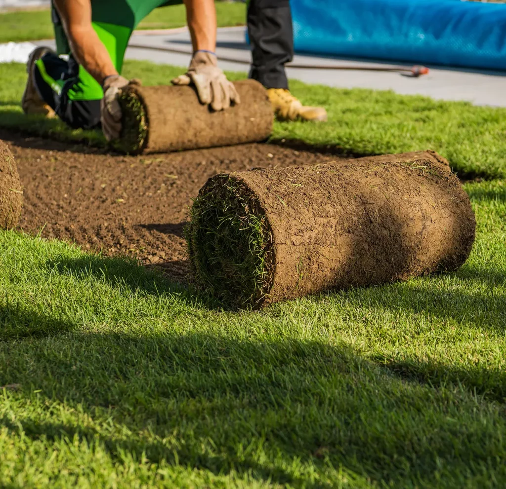 guy-sod-installation